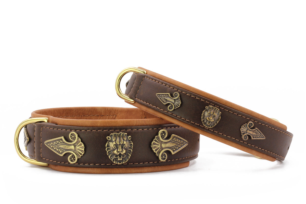 Halsband Lion