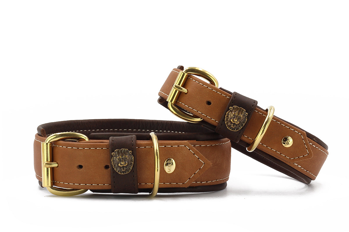 Halsband Safari