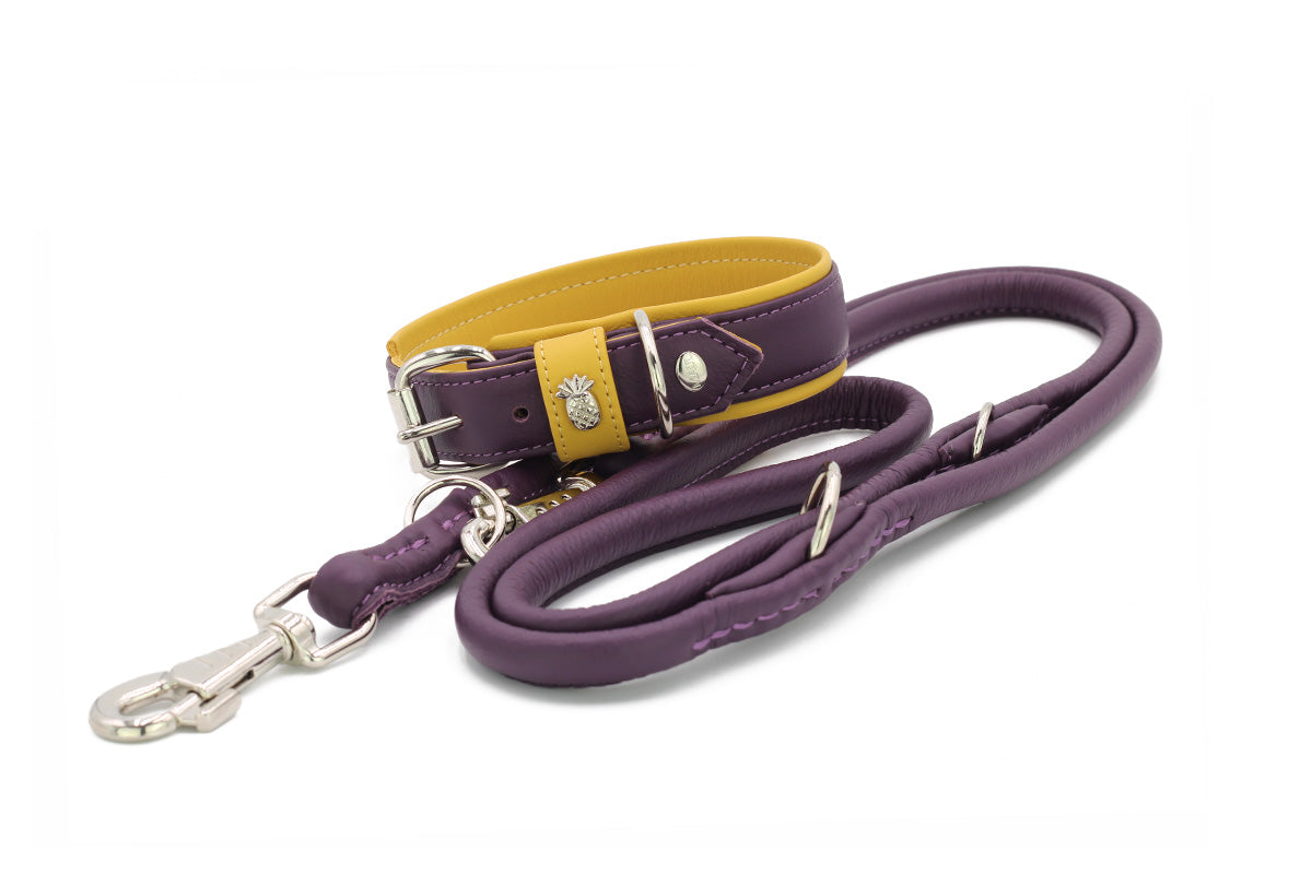 Halsband Spring Break