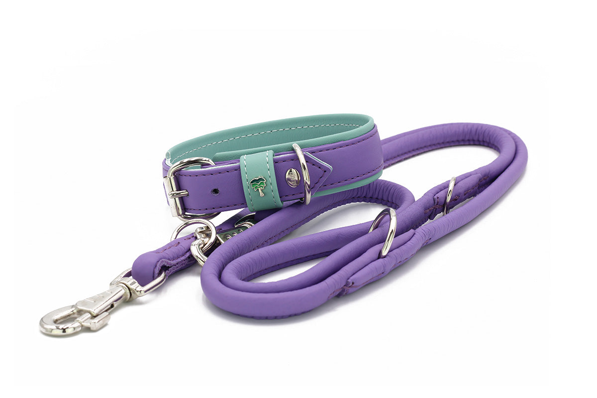 Halsband Spring Break