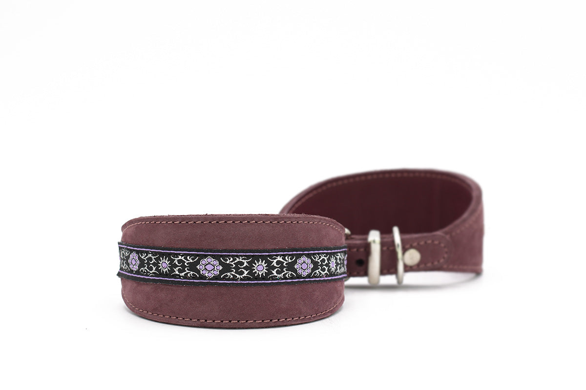 Windhundhalsband Borte