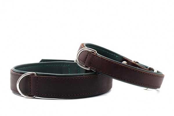 Lederhundehalsband Klassik Premium braun-grün weiches Leder